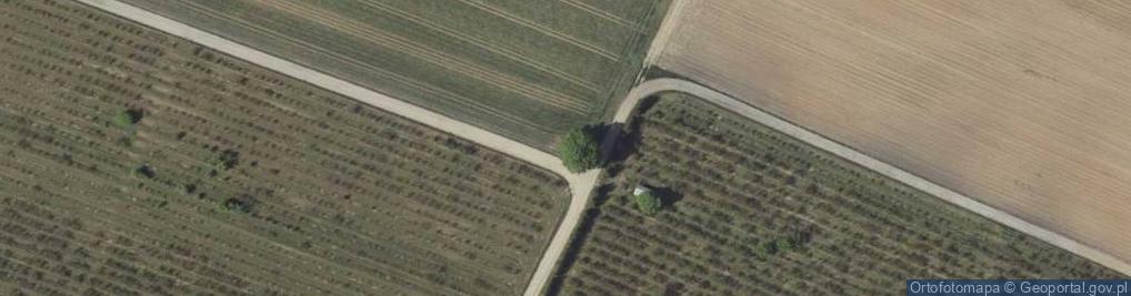 Zdjęcie satelitarne Kapliczka, Figura Świętych, Krzyż