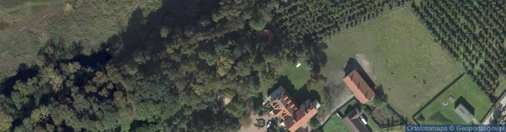 Zdjęcie satelitarne Kapliczka, Figura Świętych, Krzyż