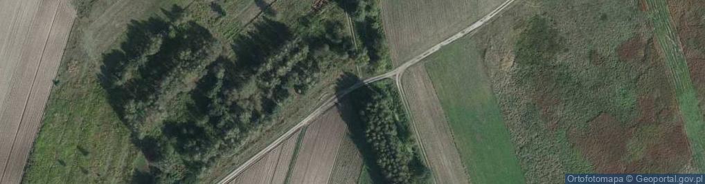 Zdjęcie satelitarne Kapliczka, Figura Świętych, Krzyż