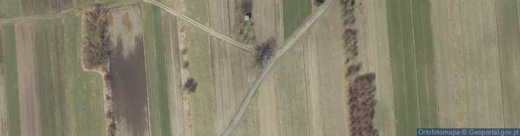 Zdjęcie satelitarne Kapliczka, Figura Świętych, Krzyż