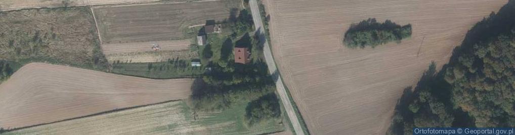 Zdjęcie satelitarne Kapliczka, Figura Świętych, Krzyż