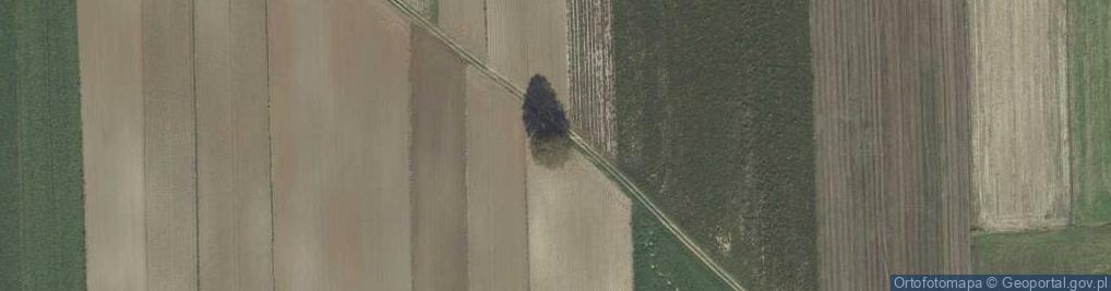 Zdjęcie satelitarne Kapliczka, Figura Świętych, Krzyż