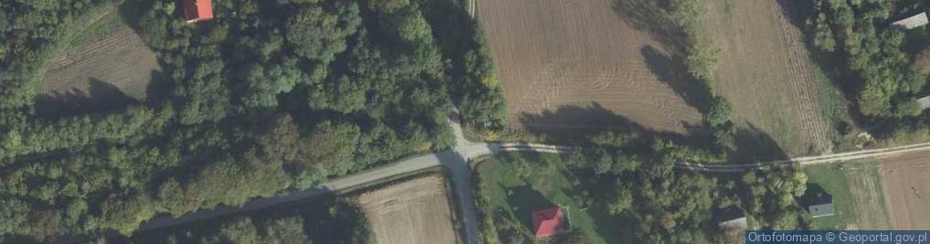 Zdjęcie satelitarne Kapliczka, Figura Świętych, Krzyż