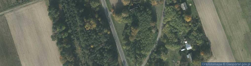 Zdjęcie satelitarne Kapliczka, Figura Świętych, Krzyż