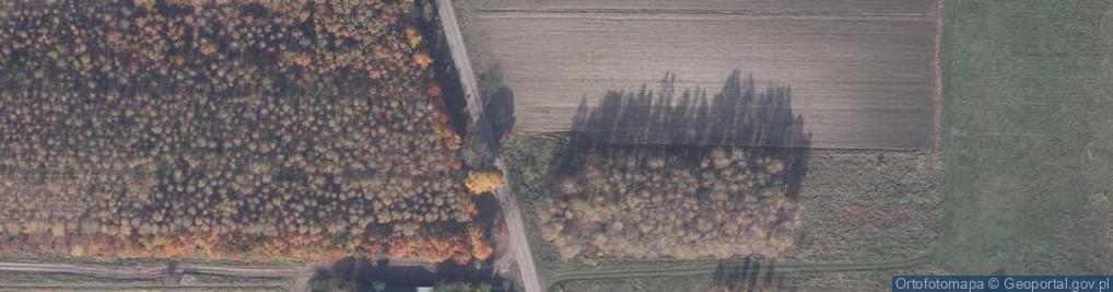 Zdjęcie satelitarne Kapliczka, Figura Świętych, Krzyż