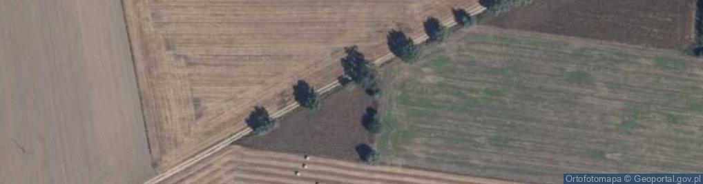 Zdjęcie satelitarne Kapliczka, Figura Świętych, Krzyż