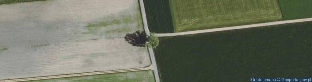 Zdjęcie satelitarne Kapliczka, Figura Świętych, Krzyż