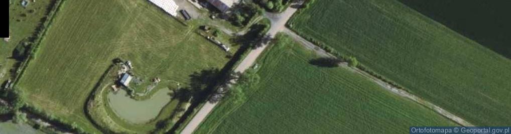 Zdjęcie satelitarne Kapliczka, Figura Świętych, Krzyż