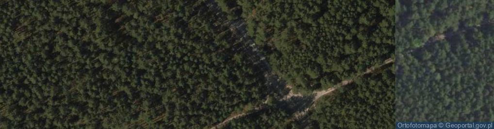 Zdjęcie satelitarne Kapliczka, Figura Świętych, Krzyż