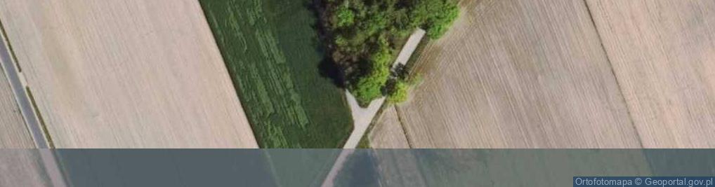 Zdjęcie satelitarne Kapliczka, Figura Świętych, Krzyż
