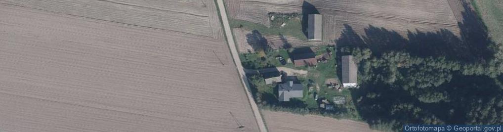 Zdjęcie satelitarne Kapliczka, Figura Świętych, Krzyż