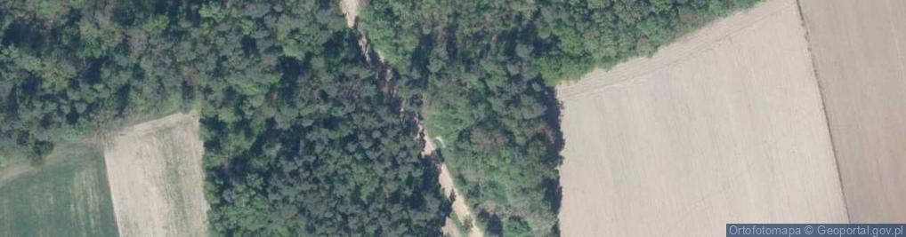 Zdjęcie satelitarne Kapliczka, Figura Świętych, Krzyż