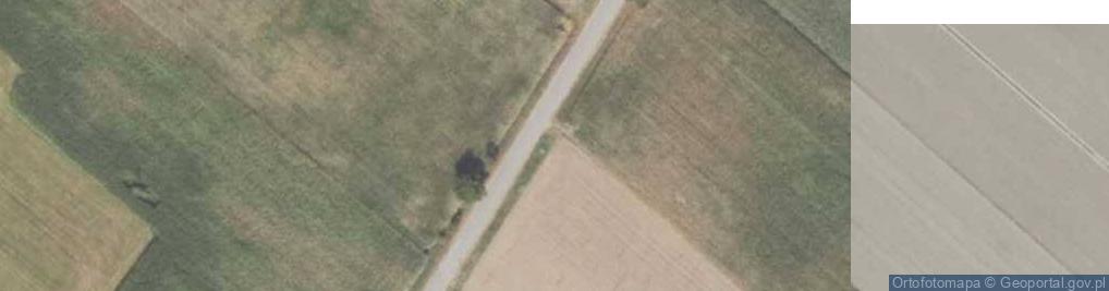 Zdjęcie satelitarne Kapliczka, Figura Świętych, Krzyż
