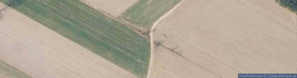 Zdjęcie satelitarne Kapliczka, Figura Świętych, Krzyż