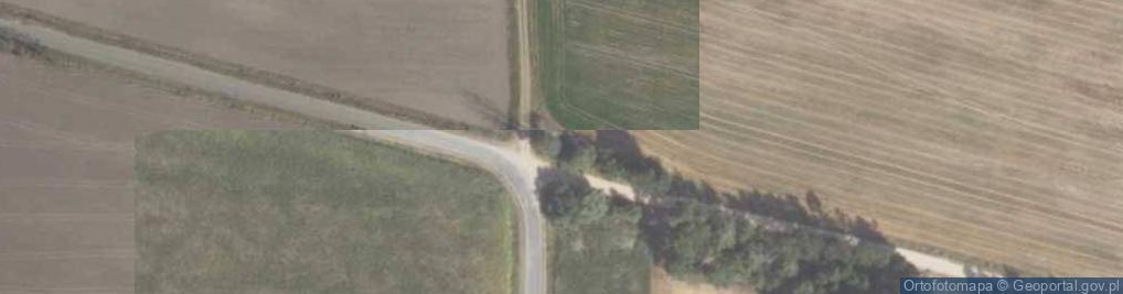 Zdjęcie satelitarne Kapliczka, Figura Świętych, Krzyż