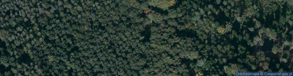 Zdjęcie satelitarne Kapliczka, Figura Świętych, Krzyż