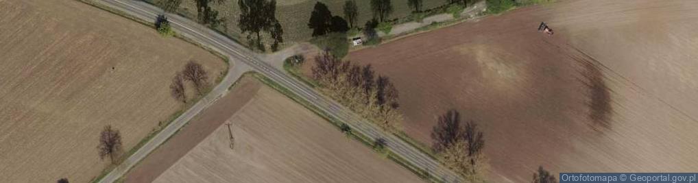 Zdjęcie satelitarne Kapliczka, Figura Świętych, Krzyż