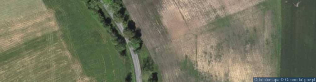 Zdjęcie satelitarne Kapliczka, Figura Świętych, Krzyż