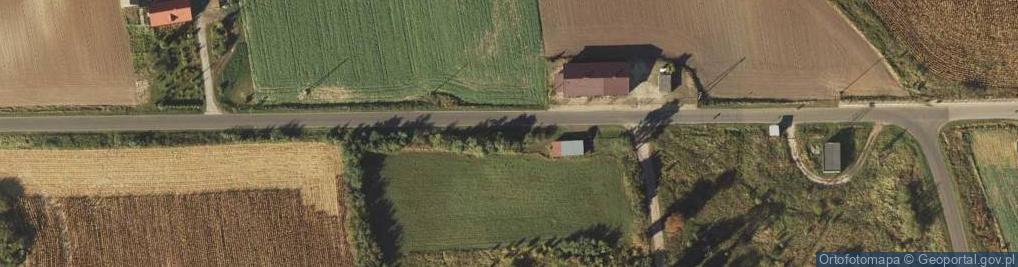 Zdjęcie satelitarne Kapliczka, Figura Świętych, Krzyż