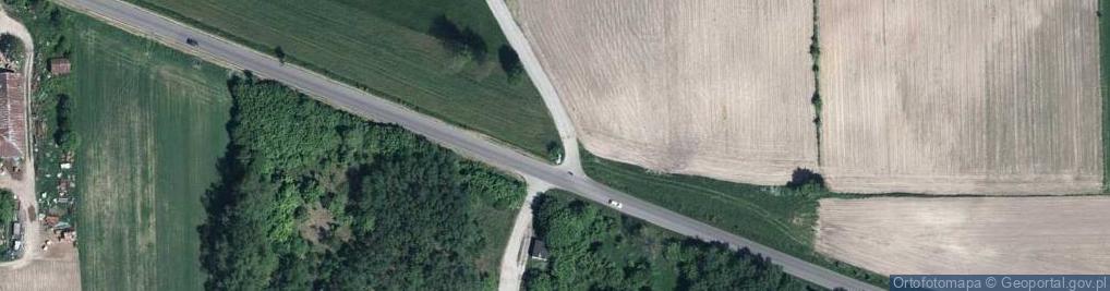 Zdjęcie satelitarne Kapliczka z Matką Boską