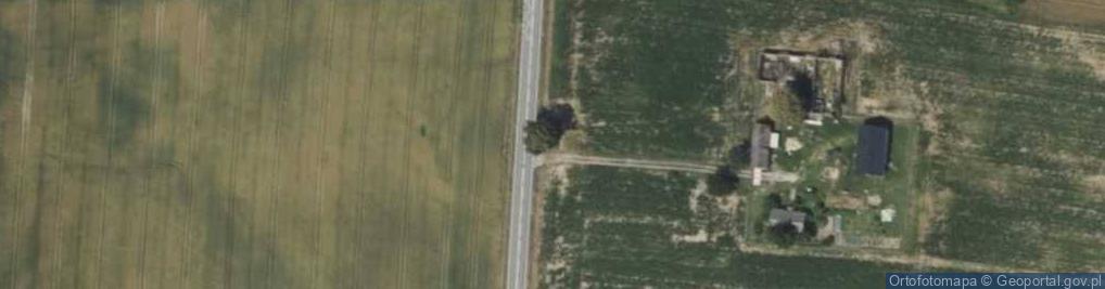 Zdjęcie satelitarne Krzyż 1919 r.