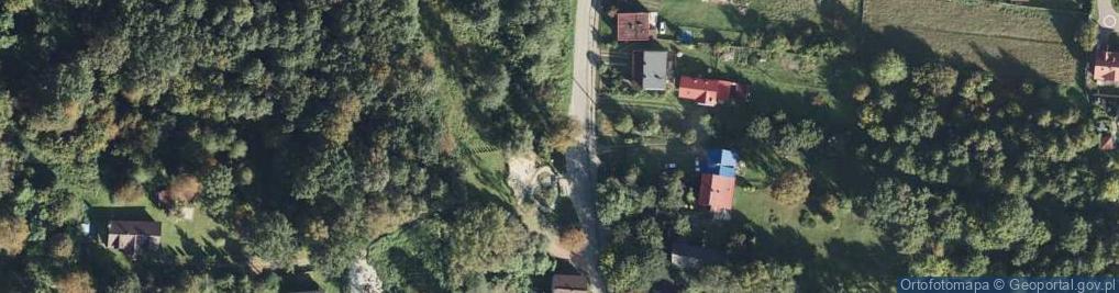 Zdjęcie satelitarne Krzyż