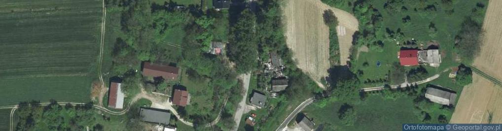 Zdjęcie satelitarne Krzyż