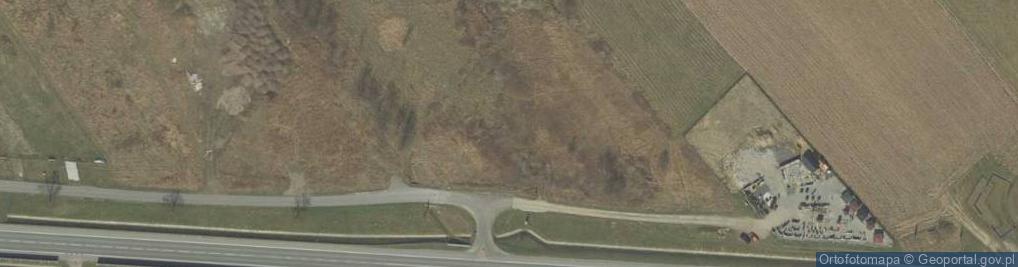 Zdjęcie satelitarne Krzyż