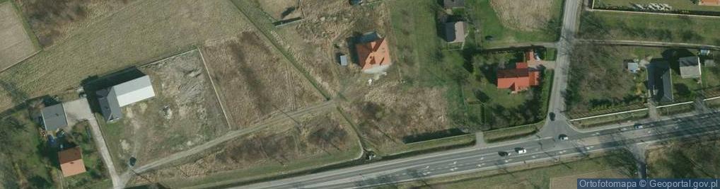 Zdjęcie satelitarne Krzyż