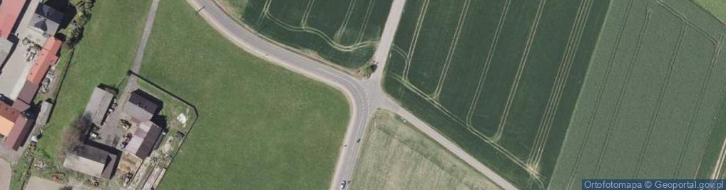 Zdjęcie satelitarne Krzyż
