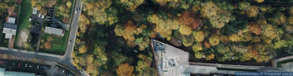 Zdjęcie satelitarne Stacja IX - droga krzyżowa