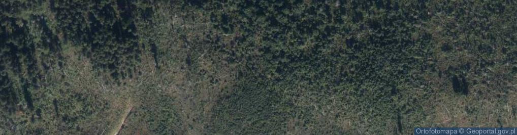 Zdjęcie satelitarne Zajazd Zagłoba