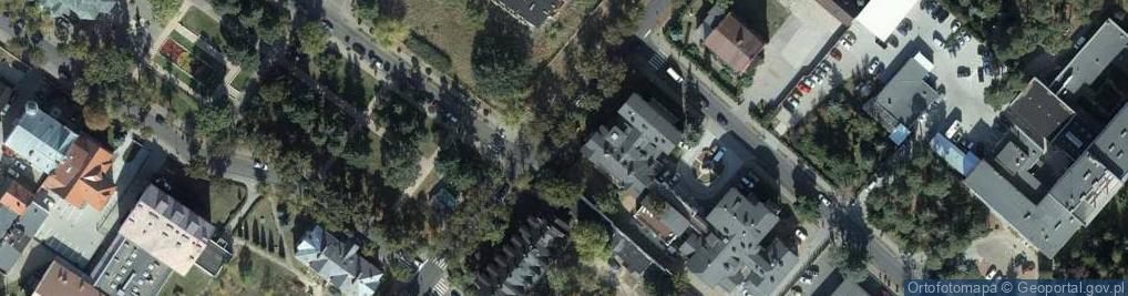 Zdjęcie satelitarne Jedyna