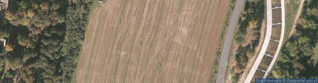 Zdjęcie satelitarne KiK - Sklep odzieżowy