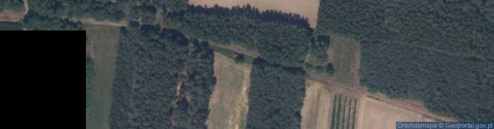 Zdjęcie satelitarne Podskarbice - Kolej Wąskotorowa Rogów-Rawa-Biała
