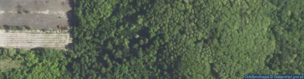 Zdjęcie satelitarne Hałda po starej kopalni rudy żelaza św. Jerzy