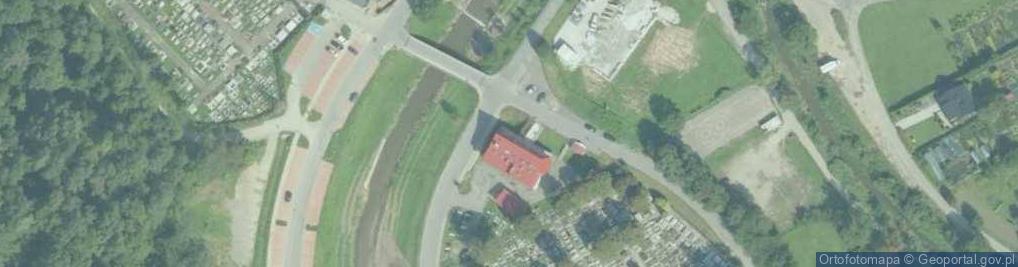 Zdjęcie satelitarne CAREX