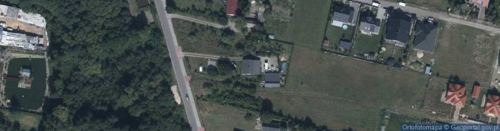 Zdjęcie satelitarne Fiori Pracownia Florystyczna