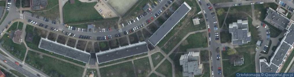 Zdjęcie satelitarne Kwiaty U Basi Piotr Woźniak