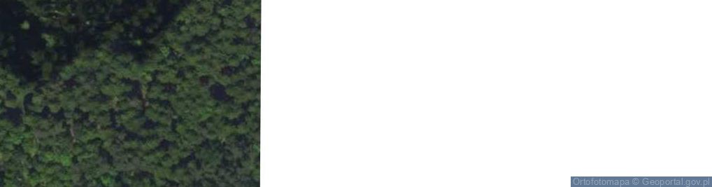Zdjęcie satelitarne Babski Las