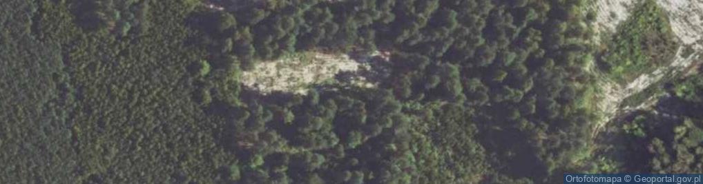 Zdjęcie satelitarne Las Gaj
