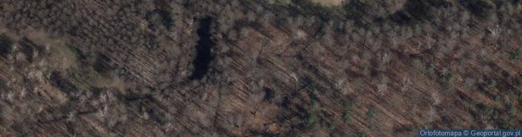 Zdjęcie satelitarne Las Komunalny - Lublinek
