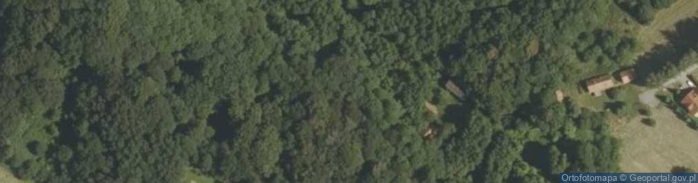 Zdjęcie satelitarne Las Przyczki