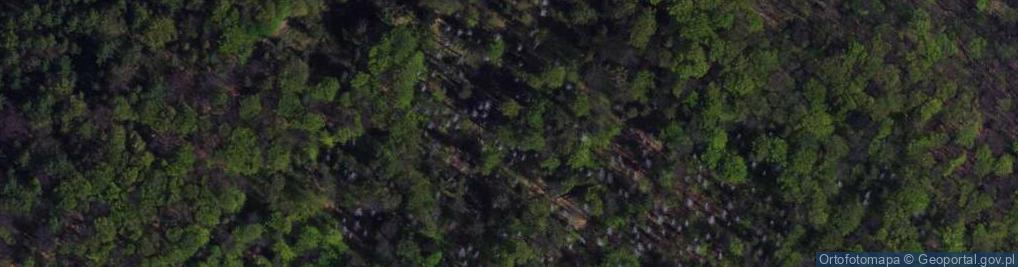 Zdjęcie satelitarne Rezerwat Jaworzyna