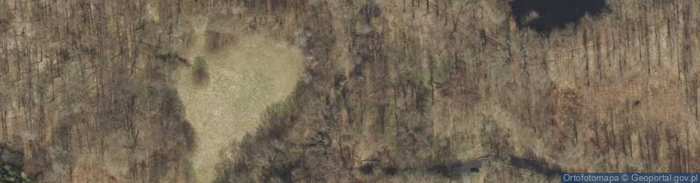 Zdjęcie satelitarne Zielonogórski Las Odrzański