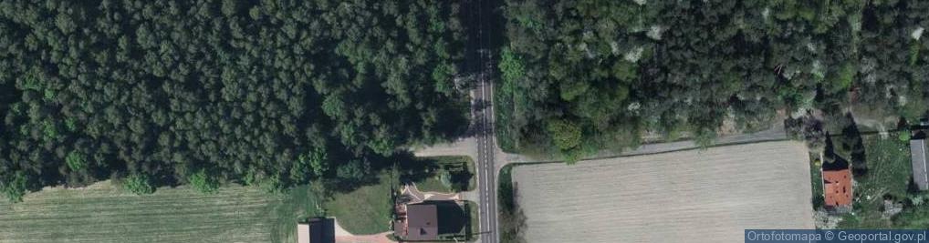 Zdjęcie satelitarne Parking Leśny