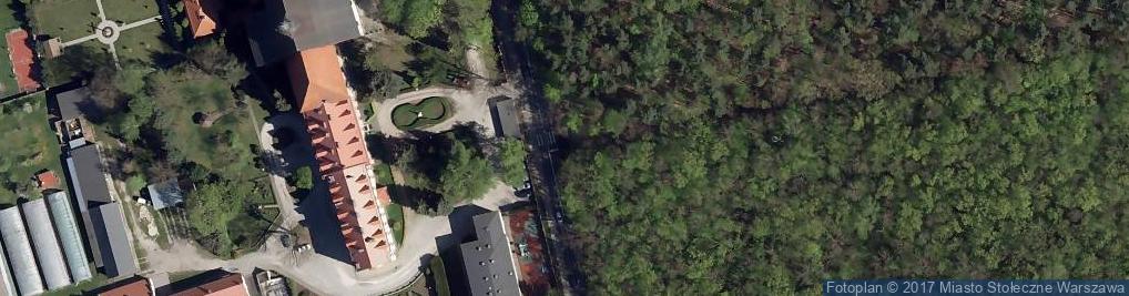 Zdjęcie satelitarne Parking Leśny