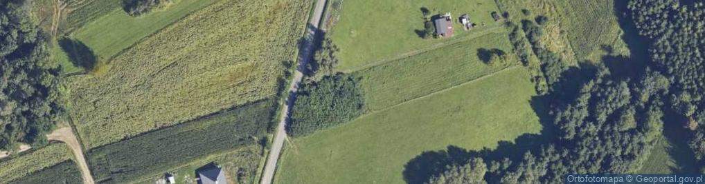 Zdjęcie satelitarne Fortyfikacja Linia Mołotowa