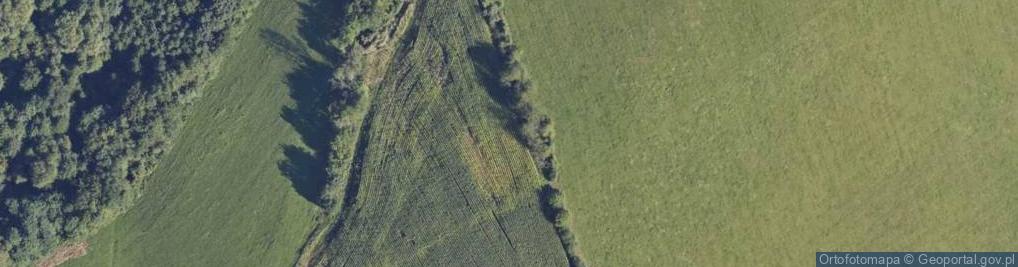 Zdjęcie satelitarne Fortyfikacja Linia Mołotowa