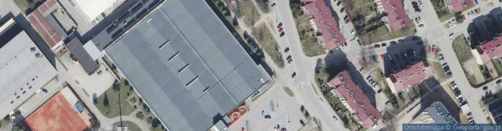 Zdjęcie satelitarne Lodowisko